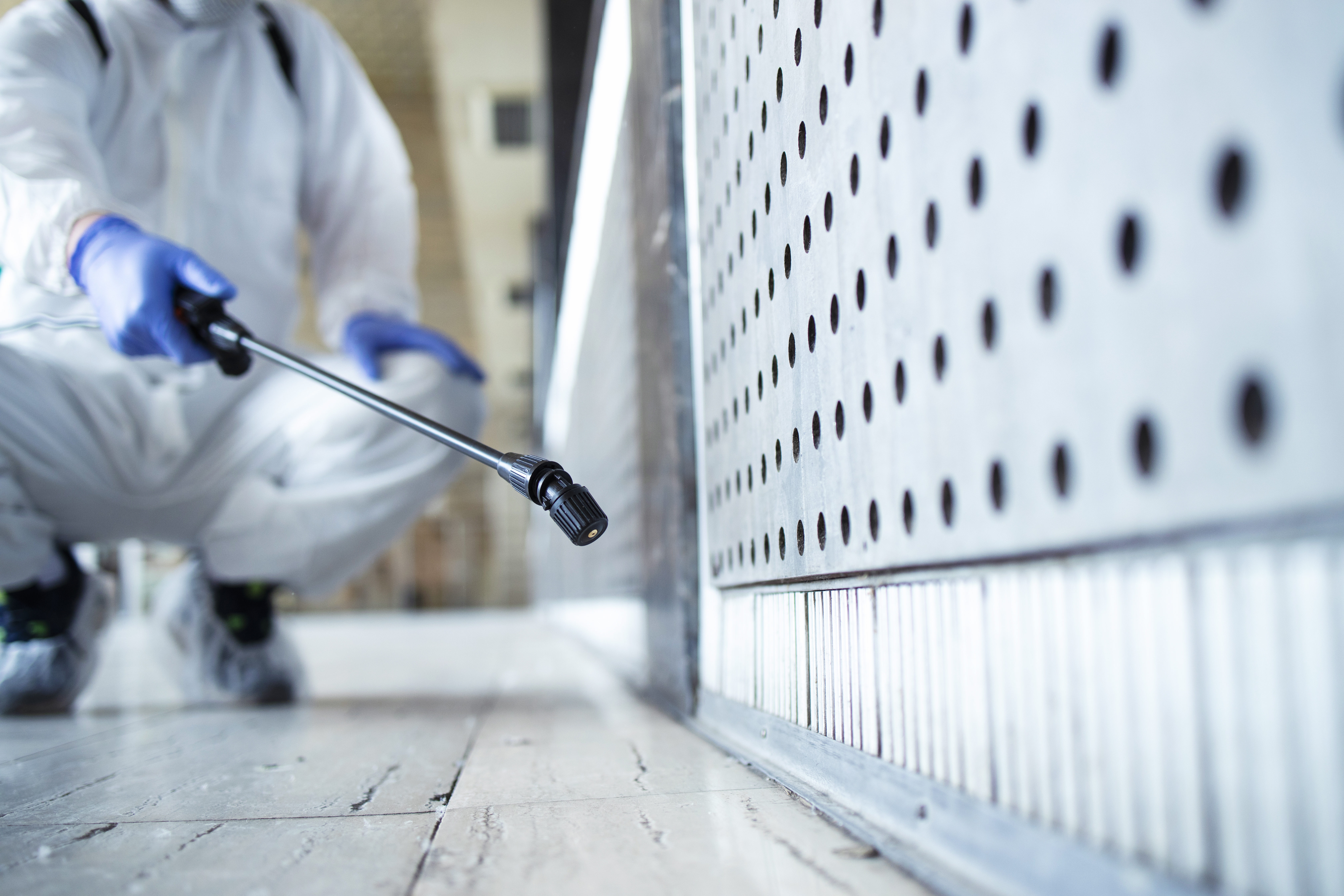 Pest Control Services